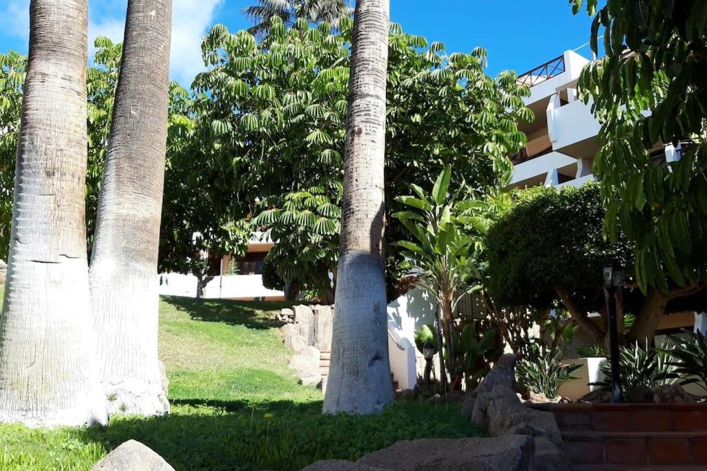 Apartment With Pool And Gardens Near The Coast Сан Мигель Экстерьер фото